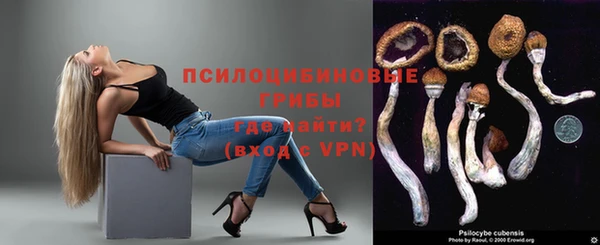 a pvp Козельск