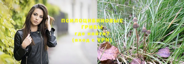 PSILOCYBIN Кодинск