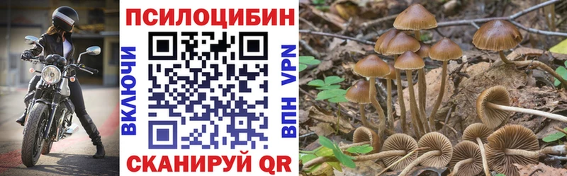 Купить закладки  Дедовск  Галлюциногенные грибы мухоморы 